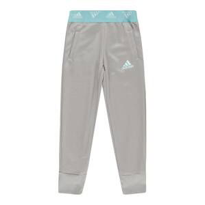 ADIDAS PERFORMANCE Sporthose  sivá / svetlomodrá