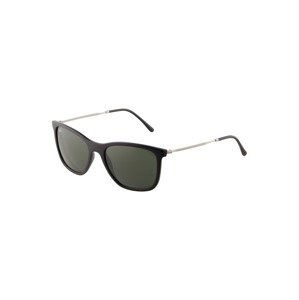 Ray-Ban Slnečné okuliare '0RB4344'  zelená / čierna / strieborná