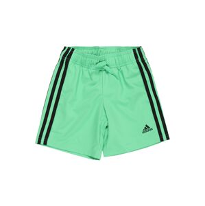 ADIDAS PERFORMANCE Športové nohavice  čierna / nefritová