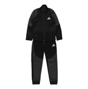 ADIDAS PERFORMANCE Sportanzug  čierna / antracitová