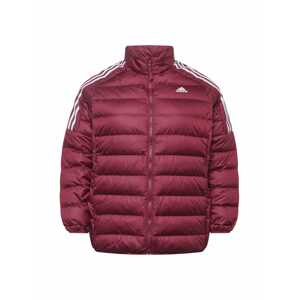 ADIDAS PERFORMANCE Outdoorová bunda  biela / krvavo červená