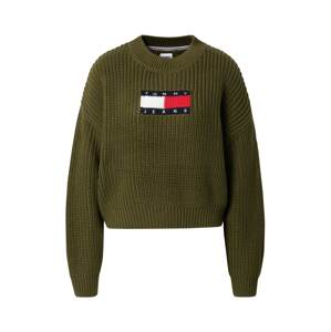 Tommy Jeans Sveter  tmavomodrá / olivová / červená / biela