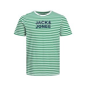 JACK & JONES Tričko 'Vardant'  zelená / biela / námornícka modrá