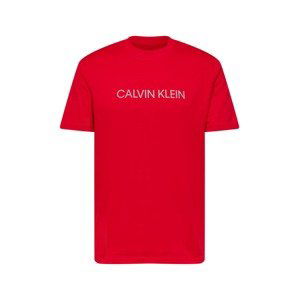 Calvin Klein Performance Funkčné tričko  čerešňová / sivá