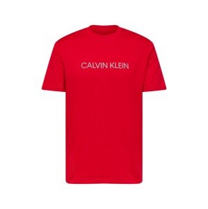 Calvin Klein Performance Funkčné tričko  čerešňová / sivá