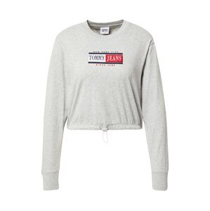 Tommy Jeans Tričko  svetlosivá / biela / námornícka modrá / grenadínová