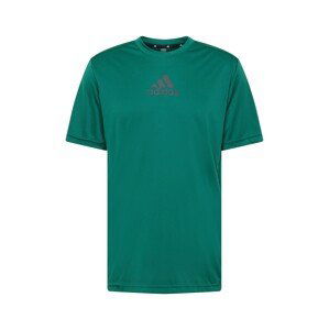 ADIDAS PERFORMANCE Sportshirt  tmavosivá / čierna