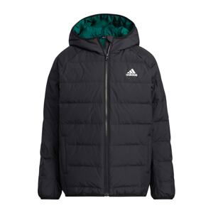 ADIDAS PERFORMANCE Outdoorová bunda 'Froosy'  čierna / biela