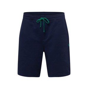 Polo Ralph Lauren Big & Tall Nohavice  tmavomodrá / trávovo zelená