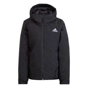 ADIDAS PERFORMANCE Outdoorová bunda 'Traveer'  čierna