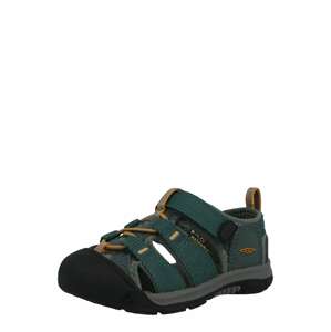 KEEN Sandale NEWPORT H2'  zelená