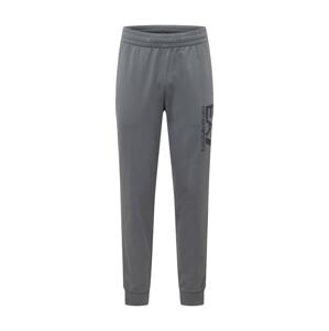 EA7 Emporio Armani Hose  sivá / tmavomodrá