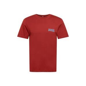 Degree T-Shirt 'Good Adventures'  červená / svetlomodrá