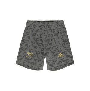 ADIDAS PERFORMANCE Sportshorts  antracitová / tmavosivá / zlatá