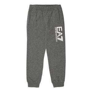 EA7 Emporio Armani Hose  tmavosivá / biela