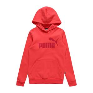 PUMA Sweatshirt  pitaya / vínovo červená