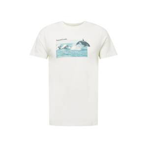 DEDICATED. T-Shirt  prírodná biela / tyrkysová / tmavosivá
