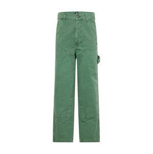 BDG Urban Outfitters Hose  zelená