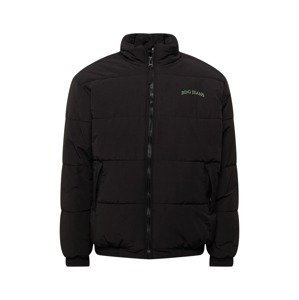 BDG Urban Outfitters Zimná bunda  čierna / zelená