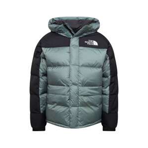 THE NORTH FACE Outdoorová bunda 'Himalayan'  pastelovo zelená / čierna / biela