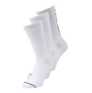 Calvin Klein Underwear Ponožky  čierna / biela