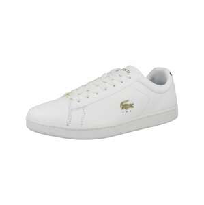 LACOSTE Nízke tenisky 'Carnaby Evo 07213'  svetlozelená / biela