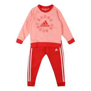 ADIDAS PERFORMANCE Športový úbor  ružová / krvavo červená / biela