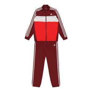 ADIDAS ORIGINALS Tréningový komplet 'Tiberio'  tmavočervená / svetločervená / biela