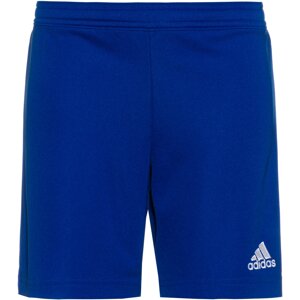 ADIDAS PERFORMANCE Športové nohavice 'Entrada 22'  tmavomodrá / biela