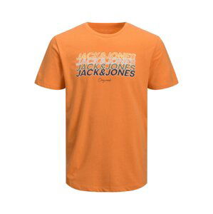 JACK & JONES Tričko 'Brady'  karí / antracitová / sivobéžová / olivová / oranžová