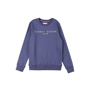 TOMMY HILFIGER Mikina  modrosivá / biela / červená / námornícka modrá