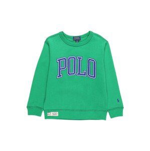 Polo Ralph Lauren Mikina  zelená / modrá / biela