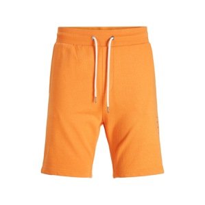 JACK & JONES Nohavice  oranžová / čierna