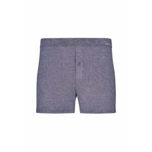 Skiny Boxershorts  modrá / sivá