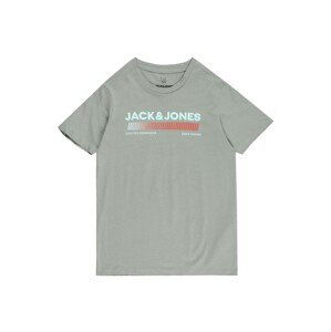 Jack & Jones Junior Tričko 'Raymond'  mätová / sivá / červená