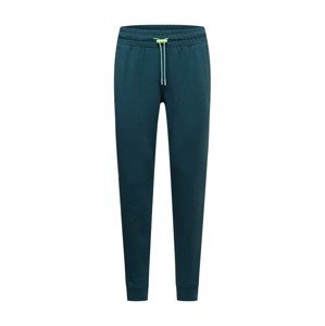 UNDER ARMOUR Športové nohavice  smaragdová / mätová