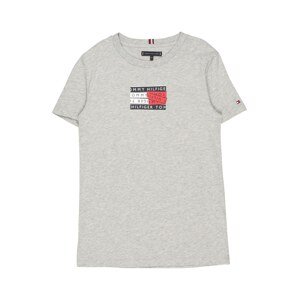 TOMMY HILFIGER Tričko  sivá / námornícka modrá / biela / ohnivo červená