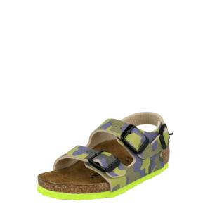 BIRKENSTOCK Otvorená obuv  modrá / olivová / sivá