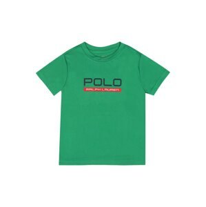 Polo Ralph Lauren Tričko  modrá / zelená / červená