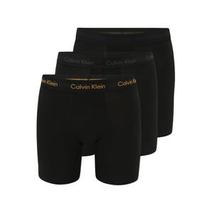 Calvin Klein Underwear Boxerky  zmiešané farby / čierna