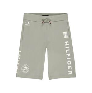 TOMMY HILFIGER Nohavice  pastelovo zelená / biela