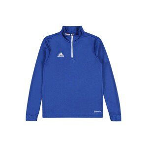 ADIDAS PERFORMANCE Športová mikina 'Entrada 22'  modrá / biela