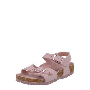 BIRKENSTOCK Otvorená obuv  staroružová