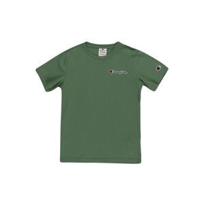 Champion Authentic Athletic Apparel Tričko  námornícka modrá / zelená / červená / biela