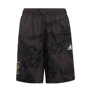 ADIDAS PERFORMANCE Športové nohavice  čierna / biela / zlatá