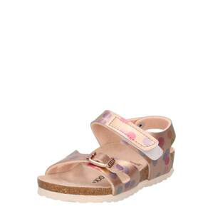 BIRKENSTOCK Sandále 'Colorado'  bronzová / levanduľová / malinová