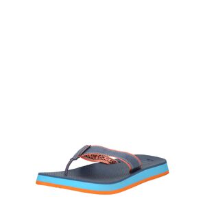 HAVAIANAS Žabky 'FUSION II'  modrosivá