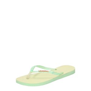 HAVAIANAS Žabky  zlatá / mätová / strieborná