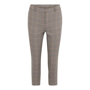 Dorothy Perkins Petite Chino nohavice  zmiešané farby