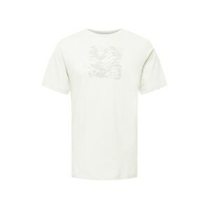 NIKE Funkčné tričko 'RUN DIVISION'  prírodná biela / sivá / biela